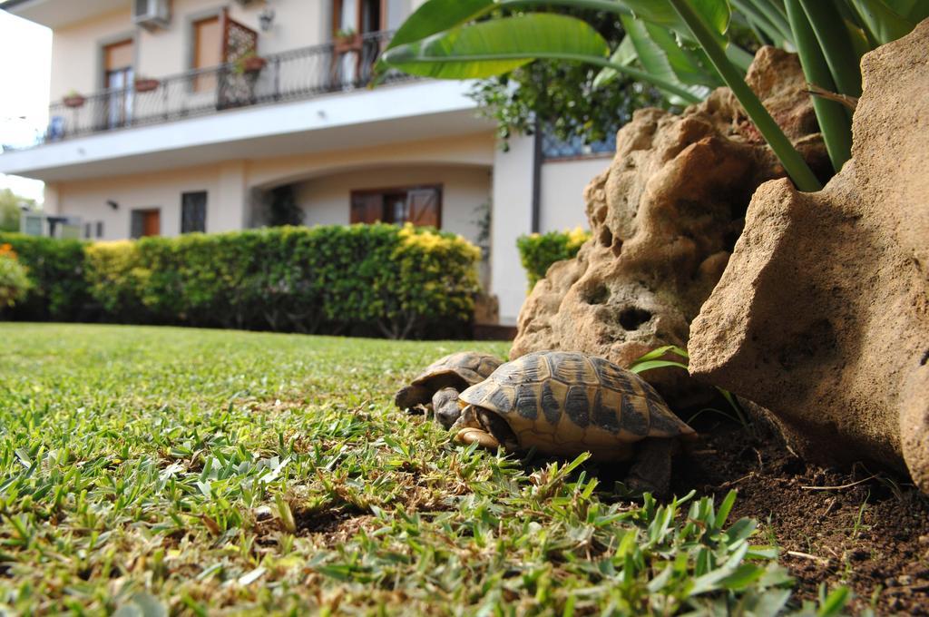 Bed and Breakfast San Pietro Noto Zewnętrze zdjęcie